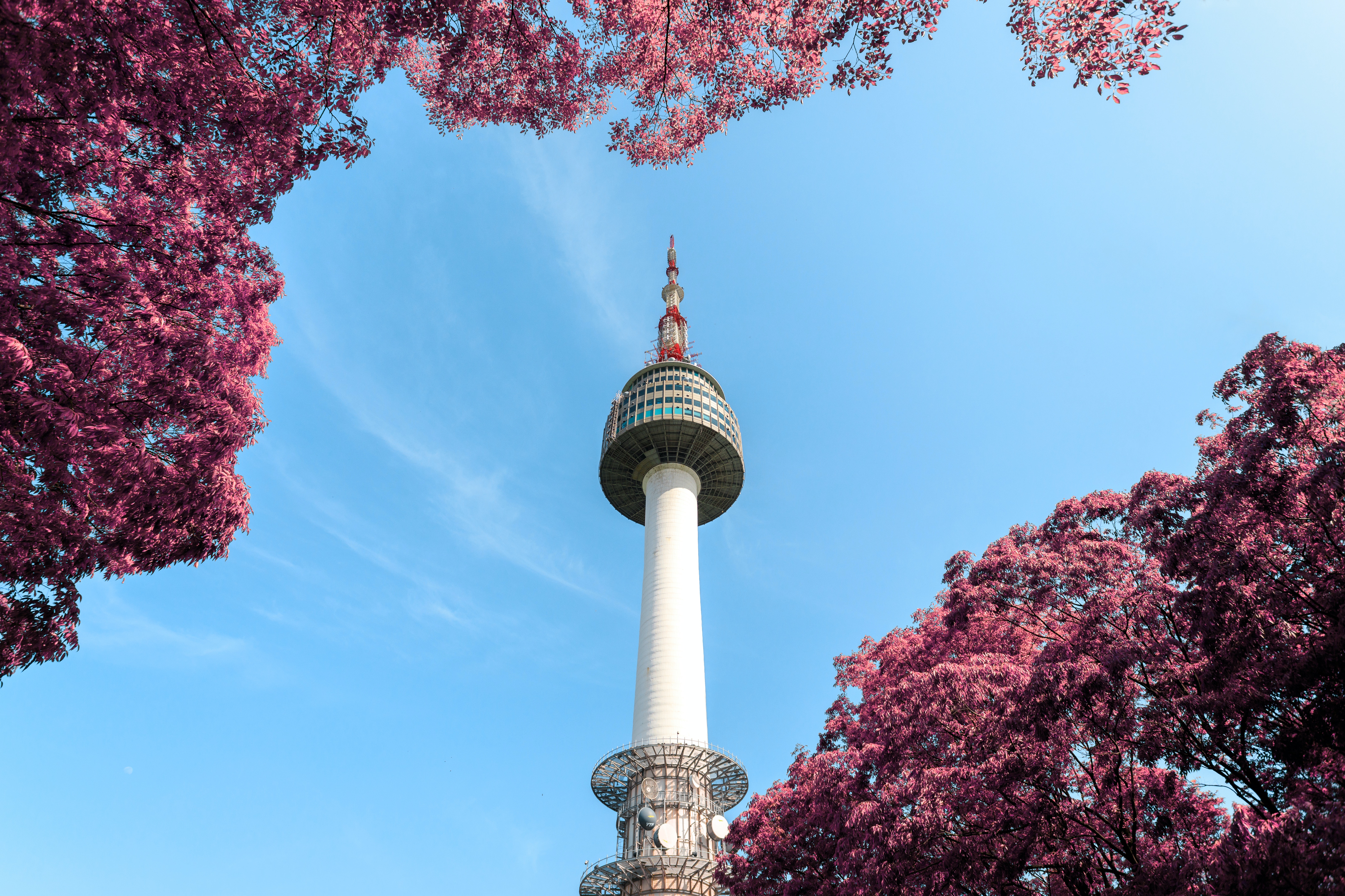 N Seoul tower